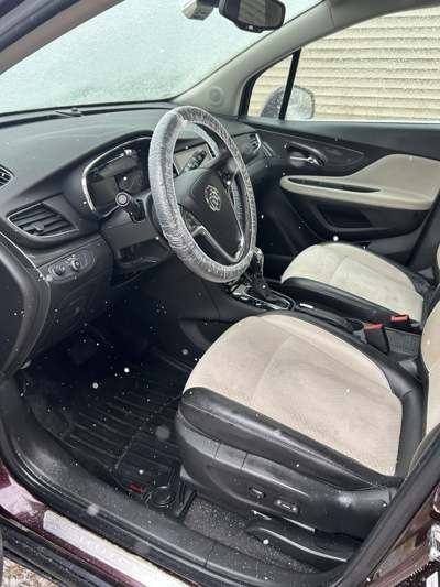 Full cabin refresh